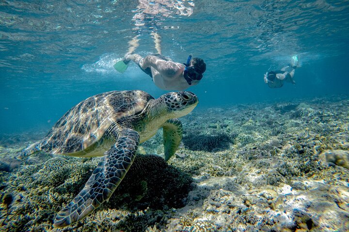 snorkeling at blue lagoon Bali