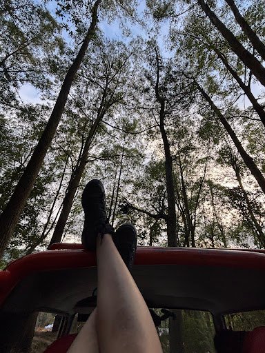 Photo from customer review