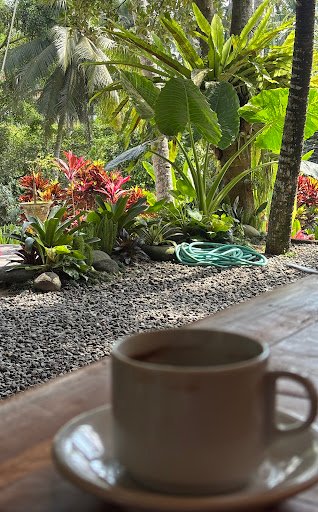 Photo from customer review